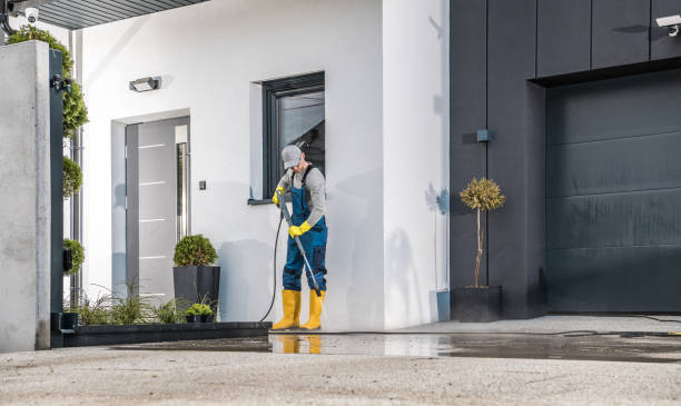 Best Rust Removal  in Pleasure Point, CA
